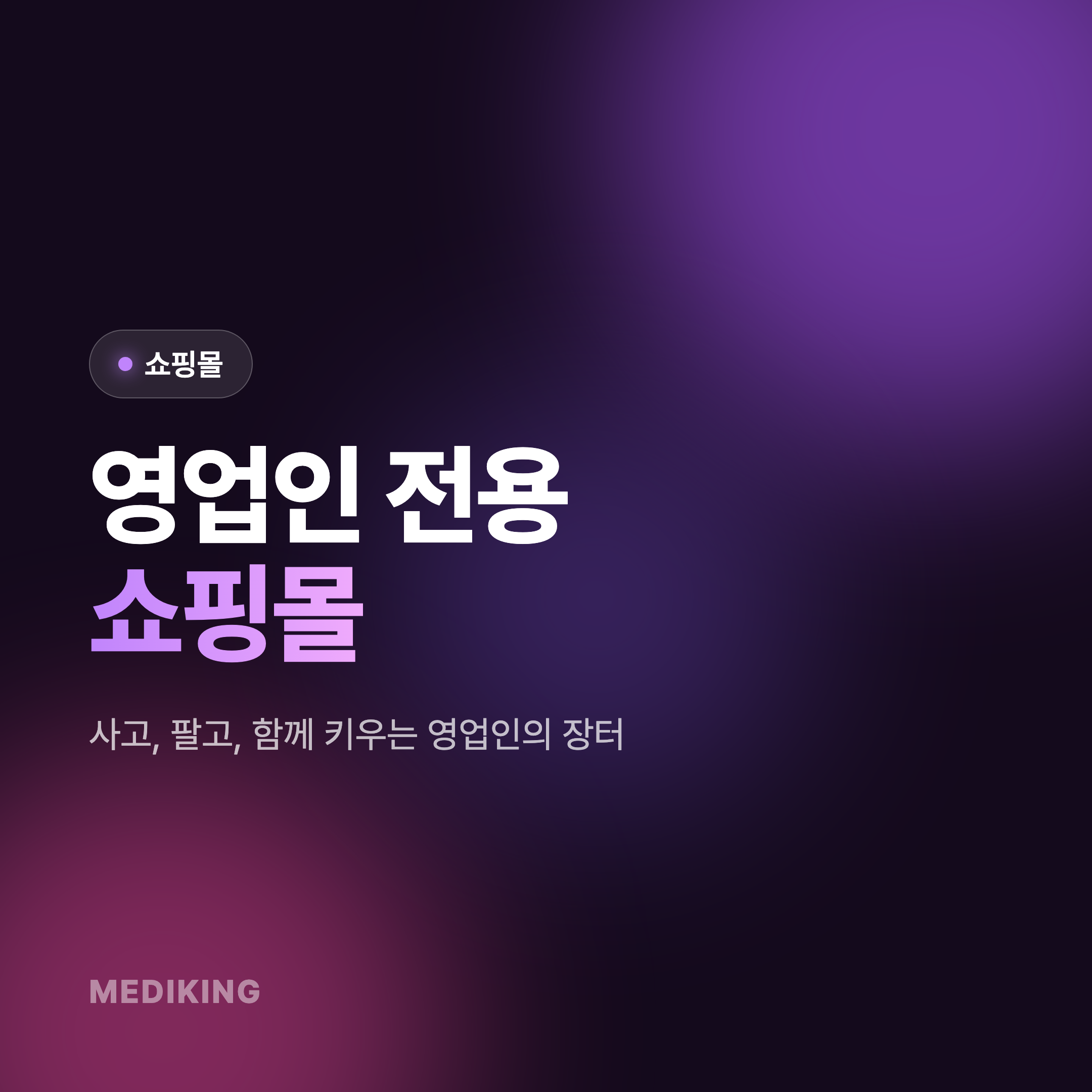 [쇼핑몰] 영업인들을 위한 전용 쇼핑몰