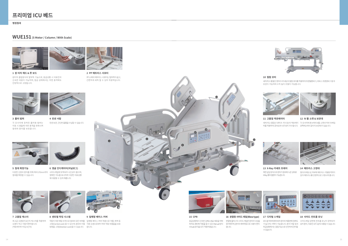 Catalogue Image